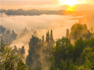 天子山1 (2)