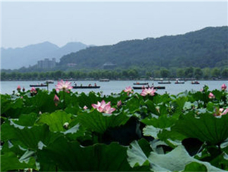 西湖西湖3