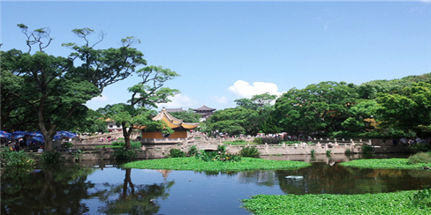 长 普济寺