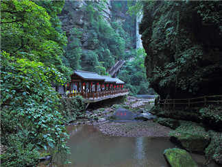森林公园森林公园