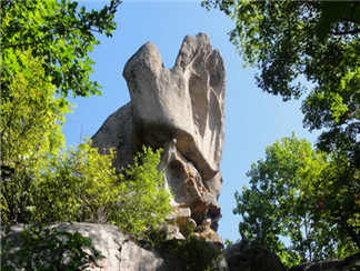 佛手山佛手山