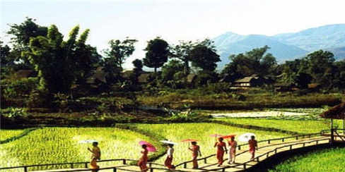 长-勐景来