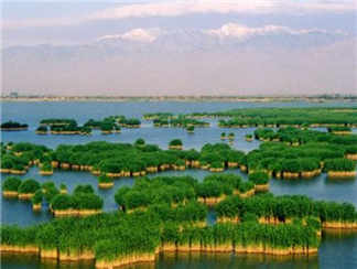 沙湖沙湖