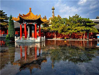 席力图召席力图召席力图召