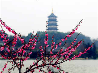 西湖1 (3)