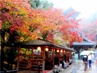 清水寺 清水寺 清水寺 清水寺
