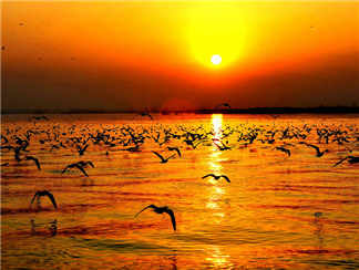 沙湖沙湖沙湖沙湖