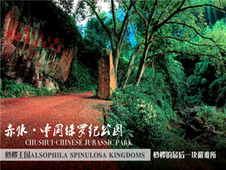 侏罗纪公园1