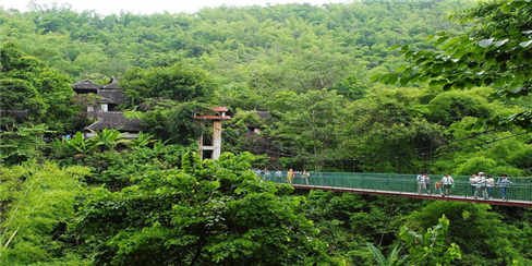 -原始森林公园