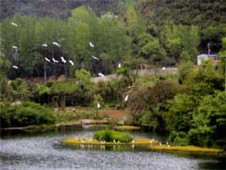 花溪湿地公园