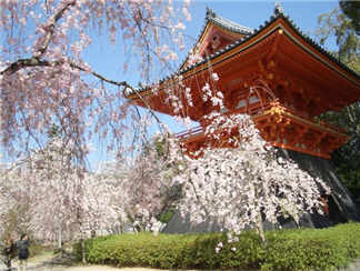 清水寺 清水寺 清水寺