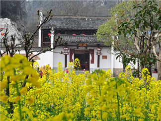 刘三姐大观园1 (2)