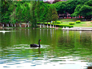 厦门大学厦门大学