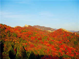 长城 (2)