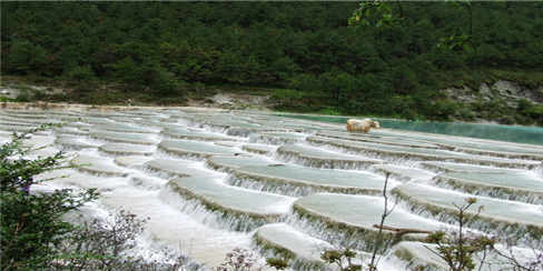 长-白水河 (2)