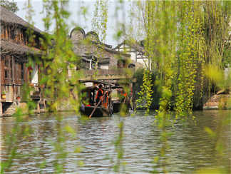 西栅1 (1)