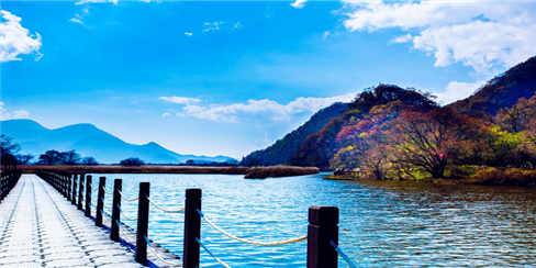 长-大九湖 (1)