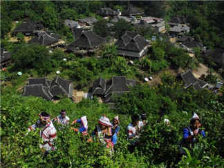 基诺山寨6 (1)
