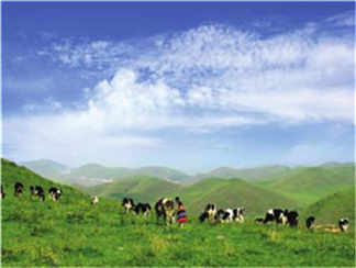 南山牧场南山牧场南山牧场南山牧场