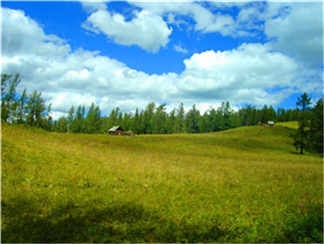 红山公园红山公园