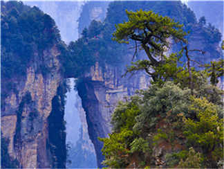 天子山1 (3)