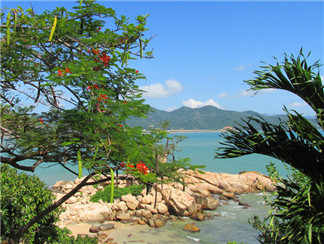 五指岩五指岩五指岩五指岩五指岩