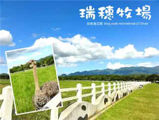 瑞穗牧场