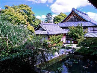 天龙寺 天龙寺 天龙寺