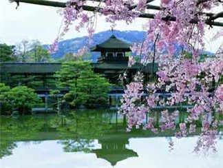 先斗町公园先斗町公园先斗町公园