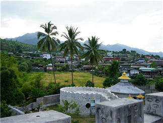 南湖山地村南湖山地村南湖山地村南湖山地村_副本