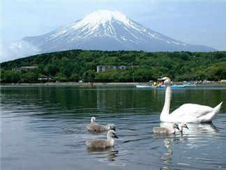 山中湖山中湖