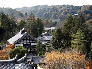 大池禅寺大池禅寺大池禅寺