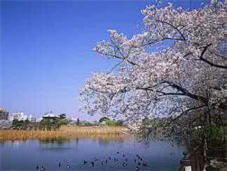 上野公园上野公园