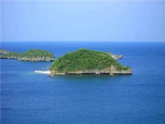 海龟岛海龟岛
