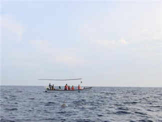 海豚湾沙滩水上活动中心 海豚湾沙滩水上活动中心