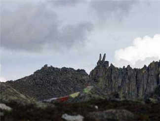 兔子山兔子山兔子山